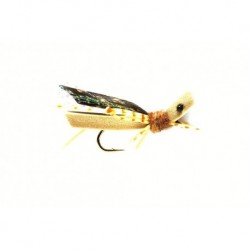 Grasshopper Tan Foam