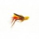 Grasshopper