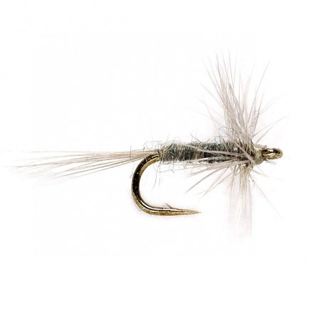Gray Midge
