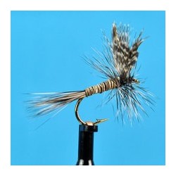 Gray Quill