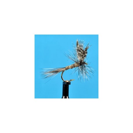 Gray Quill