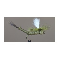 Green Drake Paradrake