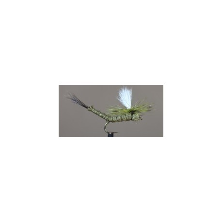 Green Drake Paradrake
