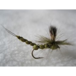 Green Paradrake