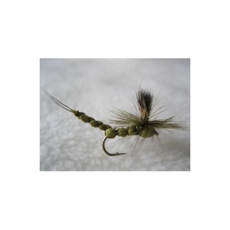 Green Paradrake