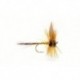 Greenwell's Spider