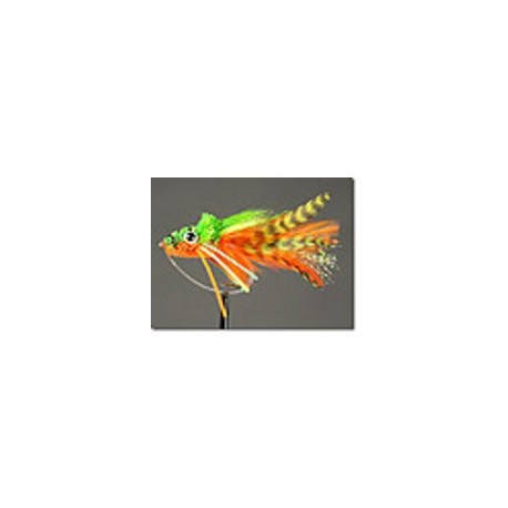 Frog Swimming Orange Belly