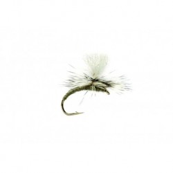 Grey Emerger