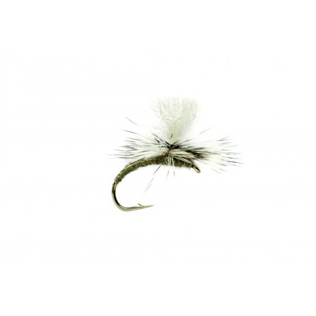 Grey Emerger