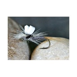 Greyduster