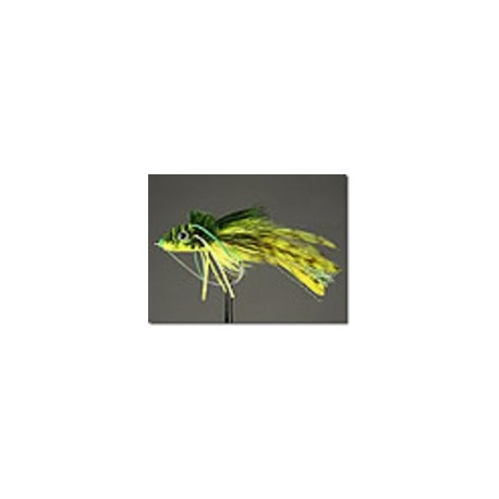 Frog Swimming Yellow Belly