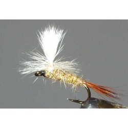 Grhe Parachute