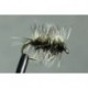 Griffith Gnat