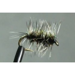 Griffith Gnat