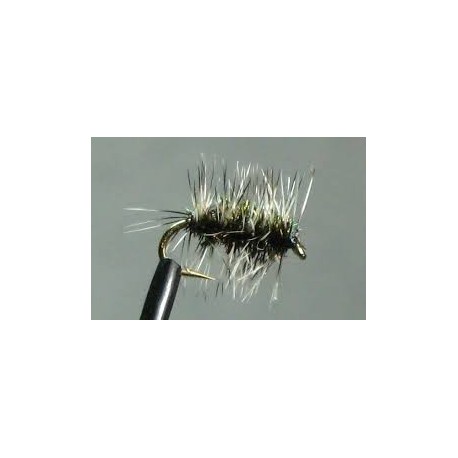 Griffith Gnat