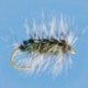 Griffith Gnat