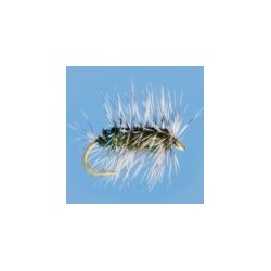 Griffith Gnat