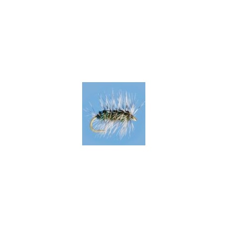 Griffith Gnat