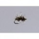 Griffith S Gnat