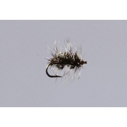 Griffith S Gnat
