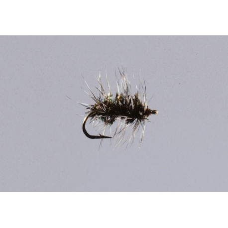 Griffith S Gnat