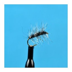 Griffith's Gnat