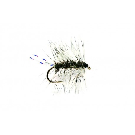 Griffiths Gnat
