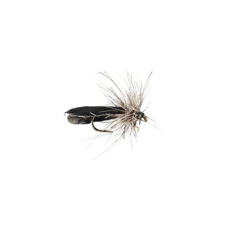 Hair Black Sedge