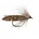 Hair Guinea Sedge