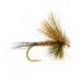 Hairwing Western Green Drake