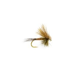 Hairwing Western Green Drake