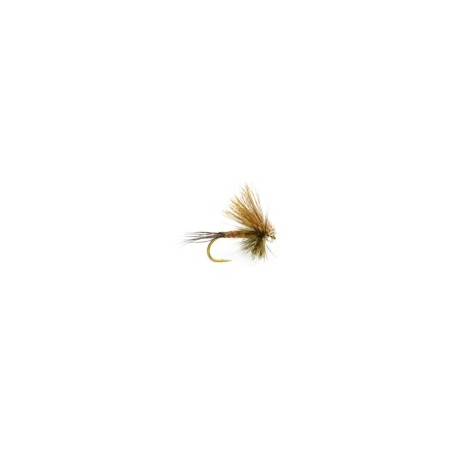 Hairwing Western Green Drake