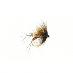 Half Hog Black Red