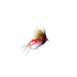 Half Hog Claret