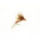 Half Hog Hare Peach