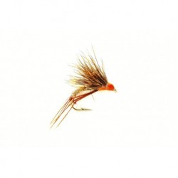 Half Hog Hare Peach