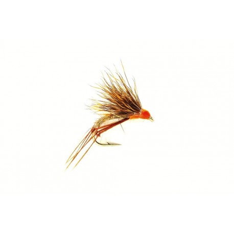 Half Hog Hare Peach