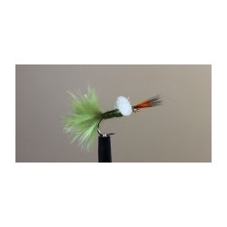 Halo Emerger Olive