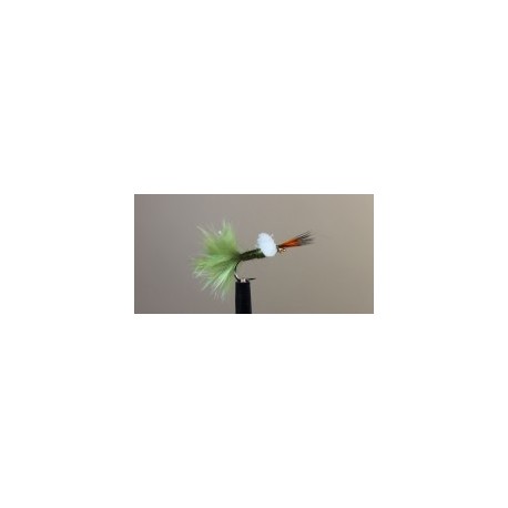 Halo Emerger Olive