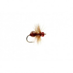 Hard Body Ant Brown