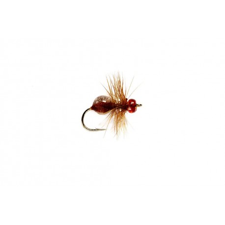 Hard Body Ant Brown