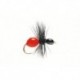 Hard Body Ant