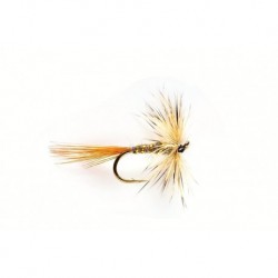 Hare's Ear & Green Drop Sedge