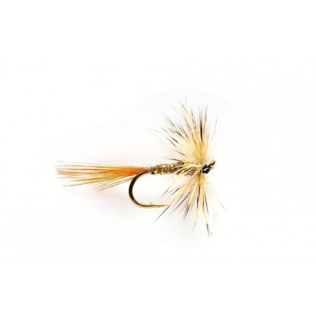 Hare's Ear & Green Drop Sedge