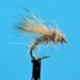 Hare's Ear Dry