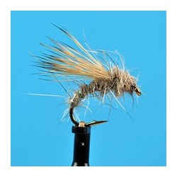 Hare's Ear Dry