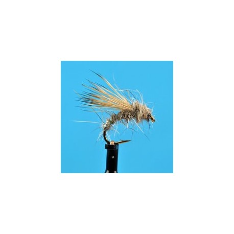 Hare's Ear Dry
