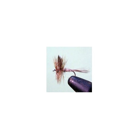 Hares Ear Dry