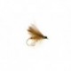 Hares Ear Dry