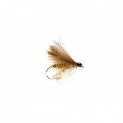 Hares Ear Dry